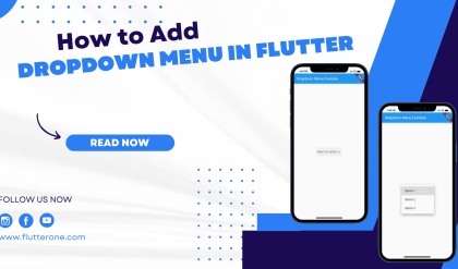 How to Add a Dropdown Menu in Flutter (2)