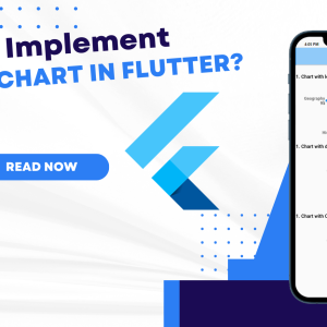 How to implementing Spider Chart in Flutter