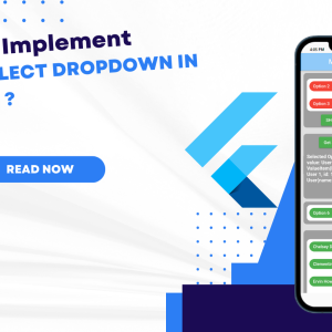 how to implement an Multiselect Dropdown in flutter