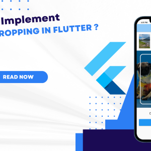 how to implement image cropping in flutter