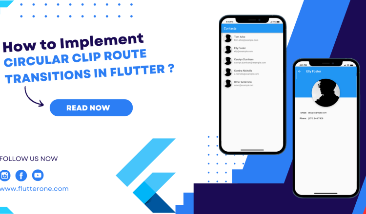 How to Implementing Circular Clip Route Transitions in Flutter (1)