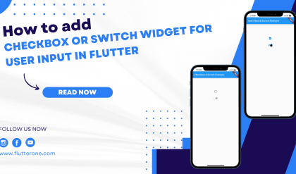 How to add a checkbox or switch widget for user input in Flutter